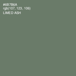 #6B7B6A - Limed Ash Color Image
